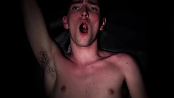 New mares strapped in their assigned ass gates