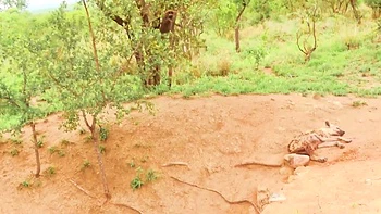 Sexy Black Girlfriend Hard Pussy Pounded