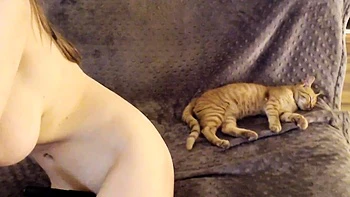 Big Boobs Cam Sex Toys more