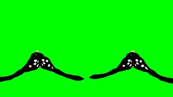 Latex Queen Reverse Rides You – Passthrough Experience