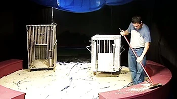 Awesome blonde with red lips Yasmine Gold gives a blowjob