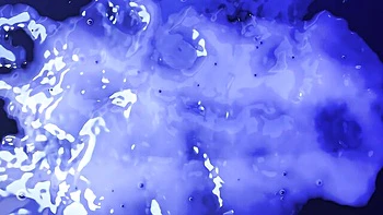 Watch flashy Ariana Van X's action