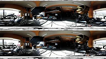 Bravo Models - 360 action