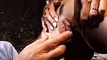 Horny bedmate's wives sex