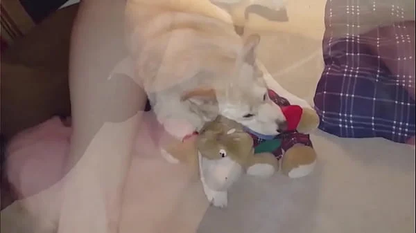 I Cuckold donald Every Valentine's... Agness