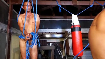 Amor: Blowjob, Doggy  Cowgirl Porn