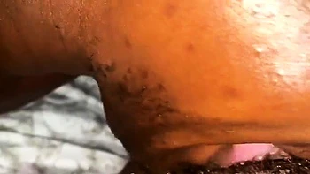 CIMA black and ebony