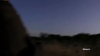 Andrea Dipres Balls Kicked In The Country