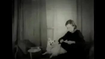 Dark Lantern Entertainment presents