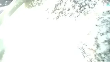 dogging no anf theatro