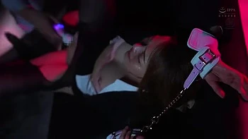 x1x8D412C7C5BD3974550