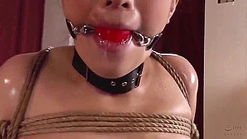 Japanese Blowjobs And Cum Facials Makoto Yuuki Dv1274