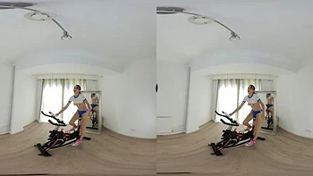 Toy Trainer VR: Doggy, Masturbation  Solo Porn