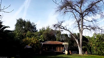 Pet of the Month May 2020