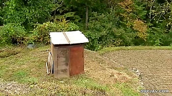 Japanese Stepsisters