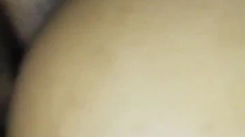 New Sitel Hot Videos Social