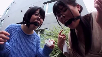 x3x93A2538EA6E2EE7590