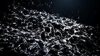 Noble Anita and Rosaline's pee swap video