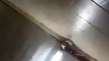 Stacked brunette goes solo toys and masturbation