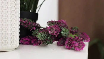 18 y.o Teenie Massage Rooms - Vivian Grace