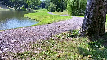 Steamy POV Blowjobs Outdoors