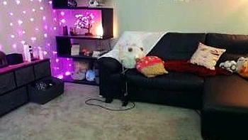 Hot amateur webcam teen masturbates for their fans