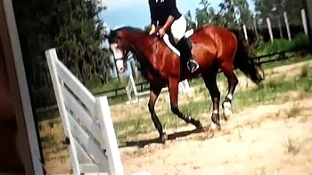 Puta amadora agressiva com peitões: solo webcam