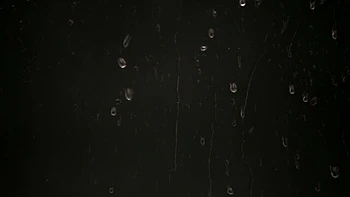 Lesbiennes tchèques mouillent leurs culottes en urinant avec jouets