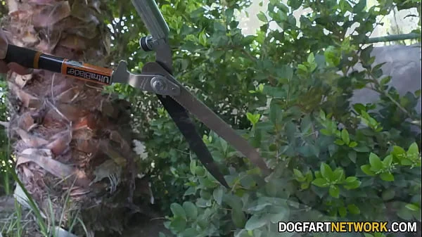 Paige Owens in intense anal action with Jax Slayher