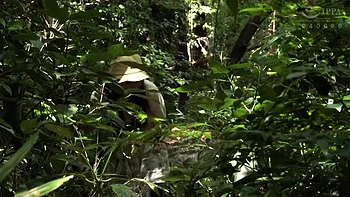 Asiatische Frauenorgasmus Sammlung