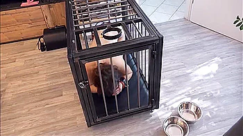 End Of Cage Keeping For The Slave