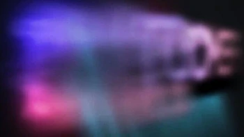 Exquisite Vika at tgirl video