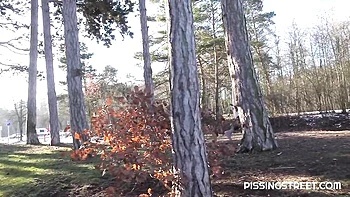 Pissing Street - pissing action