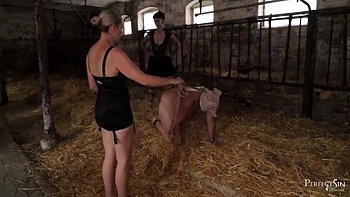 Exercises For A Piggy